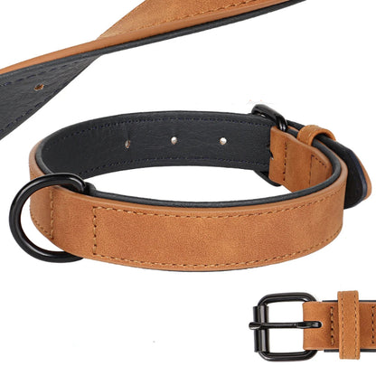 Large Dog Collar