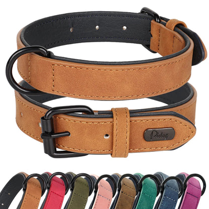 Large Dog Collar