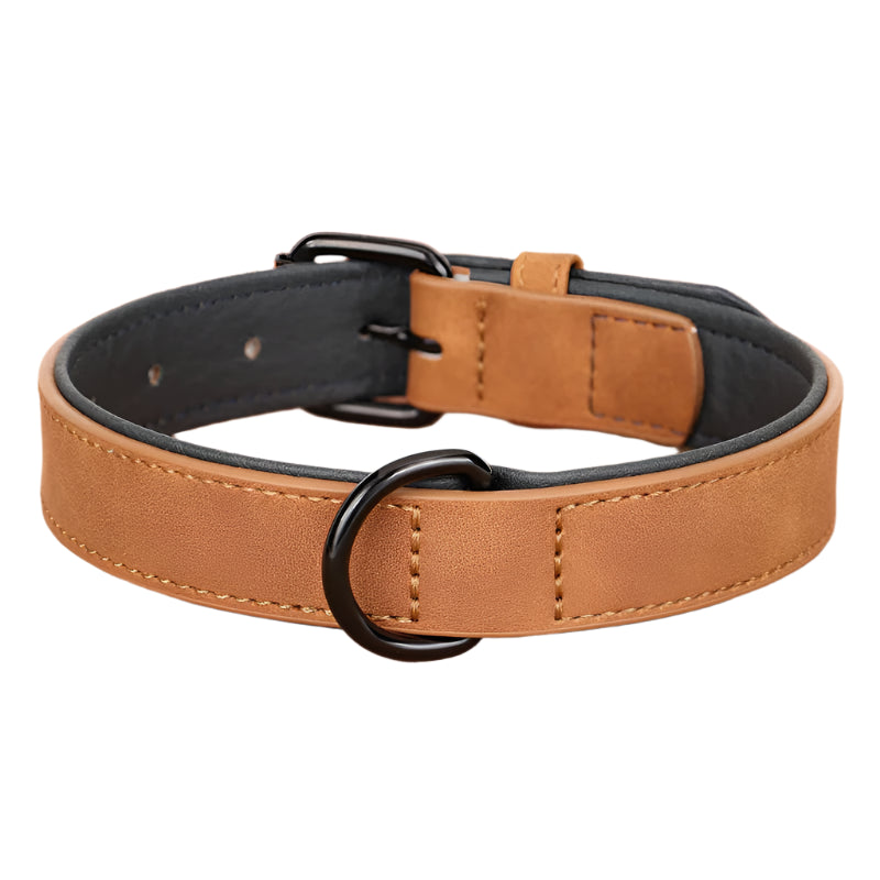 Large Dog Collar