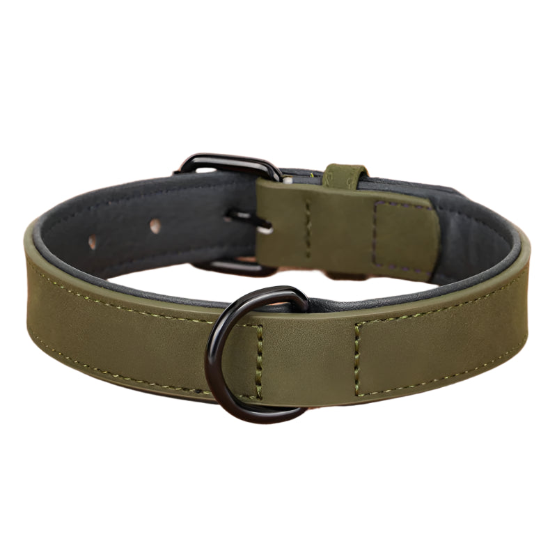 Large Dog Collar