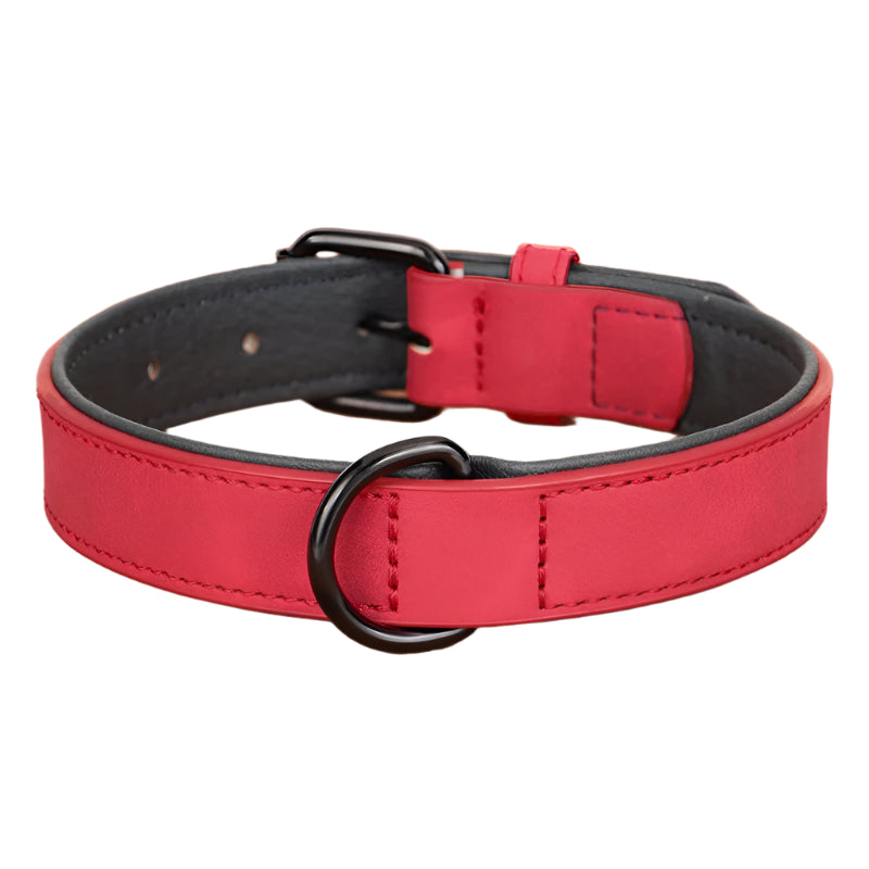 Large Dog Collar